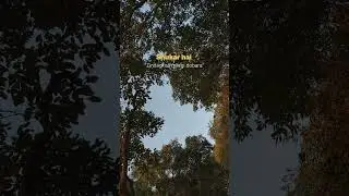 shukar hai #shortvideo #travel #motivation #viral