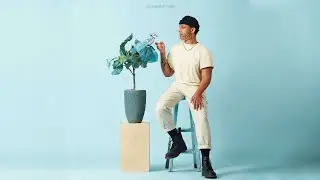 bluejay (Official Audio)