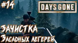 #14 Days Gone (Жизнь после) Прохождение ► Зачистка засадных лагерей