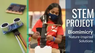 STEM Project with Reflection - Mimicking Information Processing in Nature (FULL VERSION)