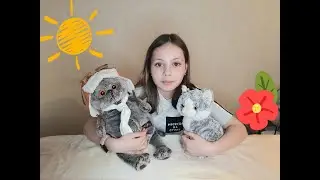 правила поведения