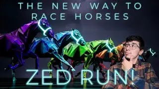 ZED RUN: THE FUTURE OF HORSE BETTING IS HERE