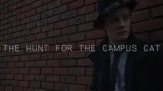 THE HUNT FOR THE CAMPUS CAT