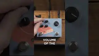 Sonicake Warped Dimension Pedal Demo by @Woochia   #guitarpedals #sonicake #guitarsolo