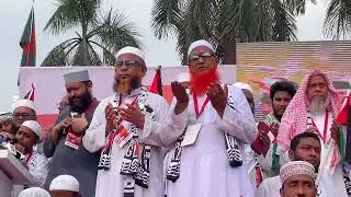 মার্চ ফর গা*জা কর্মসূচিতে ইসলামী আন্দোলন বাংলাদেশ-এর নেতৃবৃন্দ।
