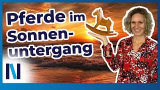 Pferde fotografieren: 5 Tipps, um die Schönheit der Pferde mit Gegenlicht einzufangen