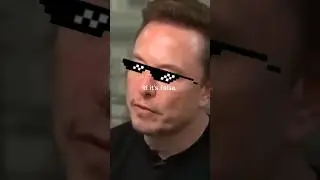 Elon Musk destroys liberal BBC reporter's whole false narrative