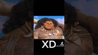 XD WTF