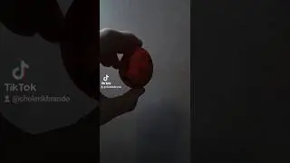 мне это давным-давно дала одна старая гадалка... #берсерк #бехелит #гатс #гриффит #яйца #пасха