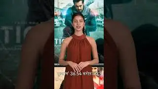 Tiger 3 Day 2 Final Box Office Prediction |Box Office Collection Pat 2