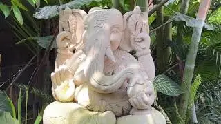 Forrest Yoga Foundation Training 2024 at The Yoga Barn Bali