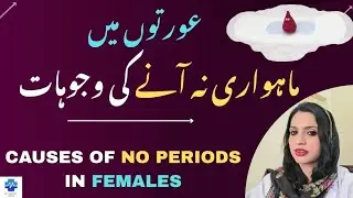 Causes Of No Periods In Females | عورتوں میں ماہواری نہ آنے کی وجوہات | Dr Khalood Imran