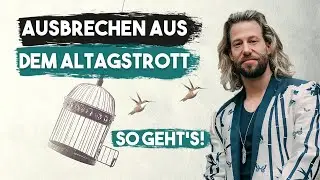 Die 4 Säulen für Dein geilstes Leben!