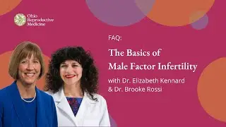 The Basics of Male Factor Infertility | ORM