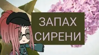 Клип 