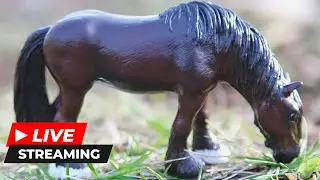 Sculpting and Painting Model Horses❤️