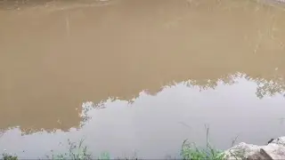 Eu fiquei com medo