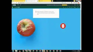Mozbar Error Resolved | All Errors 100% Solution | Mozbar not working Tutorial |Mozbar access denied