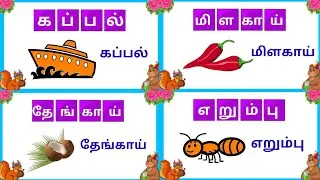 நான்கு எழுத்துச் சொற்கள் | Four letter words in tamil