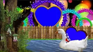 Wedding green screen frame effects backgrounds / Shaadi Green Screen Love frame full HD video effect