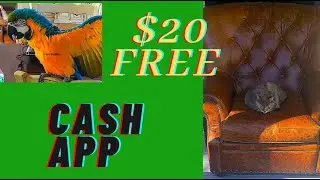 🧠 how to get free money on cash app in 2021 🧠