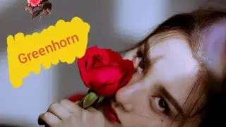 Greenhorn meaning 💯
