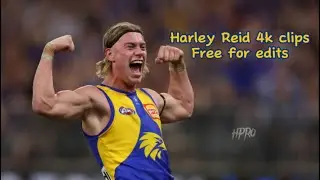 Harley Reid 4k clips for edits