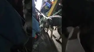 подрастает живой подарок