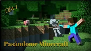 Intento pasar Minecraft en directo y pasa esto...