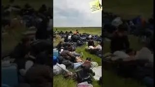 Uzga yurta xor bulgan uzbegim