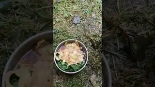 Chicken Gyoza Ramen on a Trangia Camping Stove #trangia #campcooking #ramen