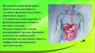 Мой фильм