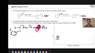 Halogenation of Aromatic Compounds