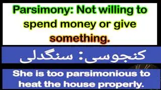 Parsimony || English Word of the day || Build English Vocabulary