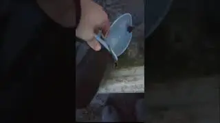 Правильное хранение живца ч. 1