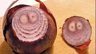 Есть ли у Природы чувства?
