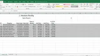 Excel page 480   real estate sales report