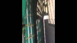 Celtic Park