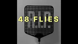A song about KILLING 48 Flies in my House lol