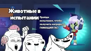 ПРОХОЖУ ИСПЫТАНИЕ С ЛЮДЬМИ СТРАДАЮЩИМИ РАССТРОЙСТВОМ АУТИСТИЧЕСКОГО СПЕКТОРА