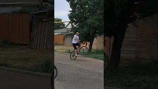 "Солнце на спицах синева над головой..."