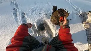 Супер рыбалка! Оторвались по окуню!