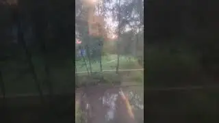 Дождь.