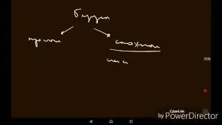 Физиология ВНД | Высшая нервная деятельность