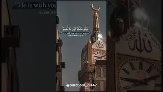 @pureSoul 22442 #aesthetic #islamicaesthetics #jannahgoals #love #music #sunnahlife #sunnah #cover