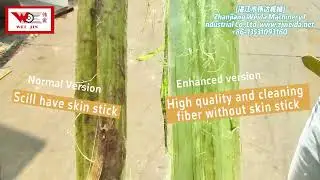 From ramie, jute, flax, hemp and other fibers can be stripped#machine #fiber