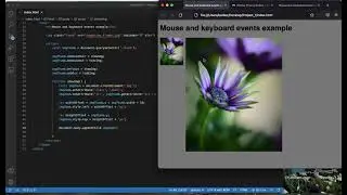 Mouse events image zoom in and out with | html, css and javascript