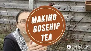 How to make rosehip tea? - with fresh rosehips
