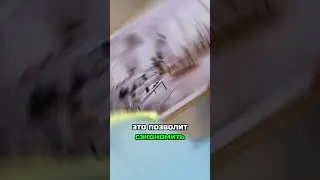 Какой интерьер выбрать для бюджетного ремонта? Мнение эксперта