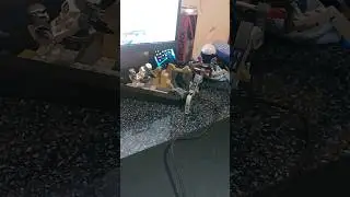 моя Lego Star Wars коллекция